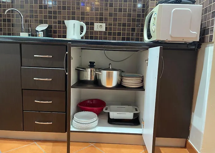 Center Galeria 公寓 *